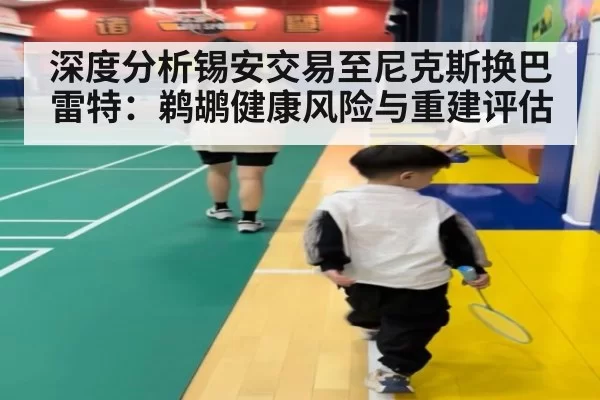 深度分析锡安交易至尼克斯换巴雷特：鹈鹕健康风险与重建评估