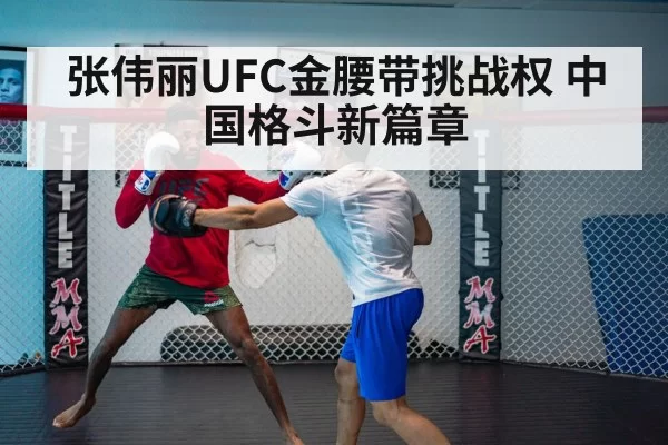 UFC fight